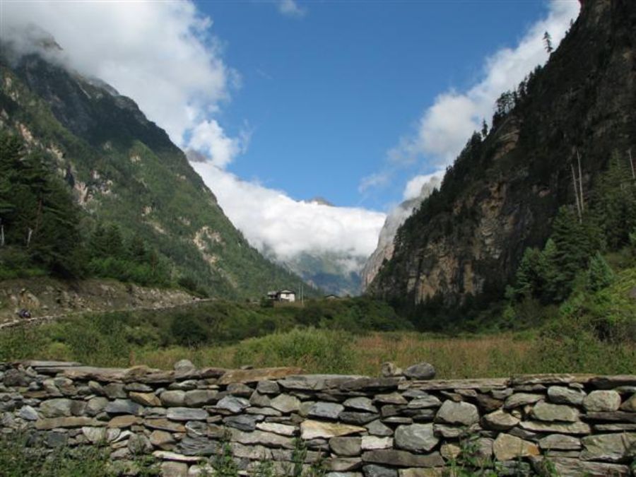 View